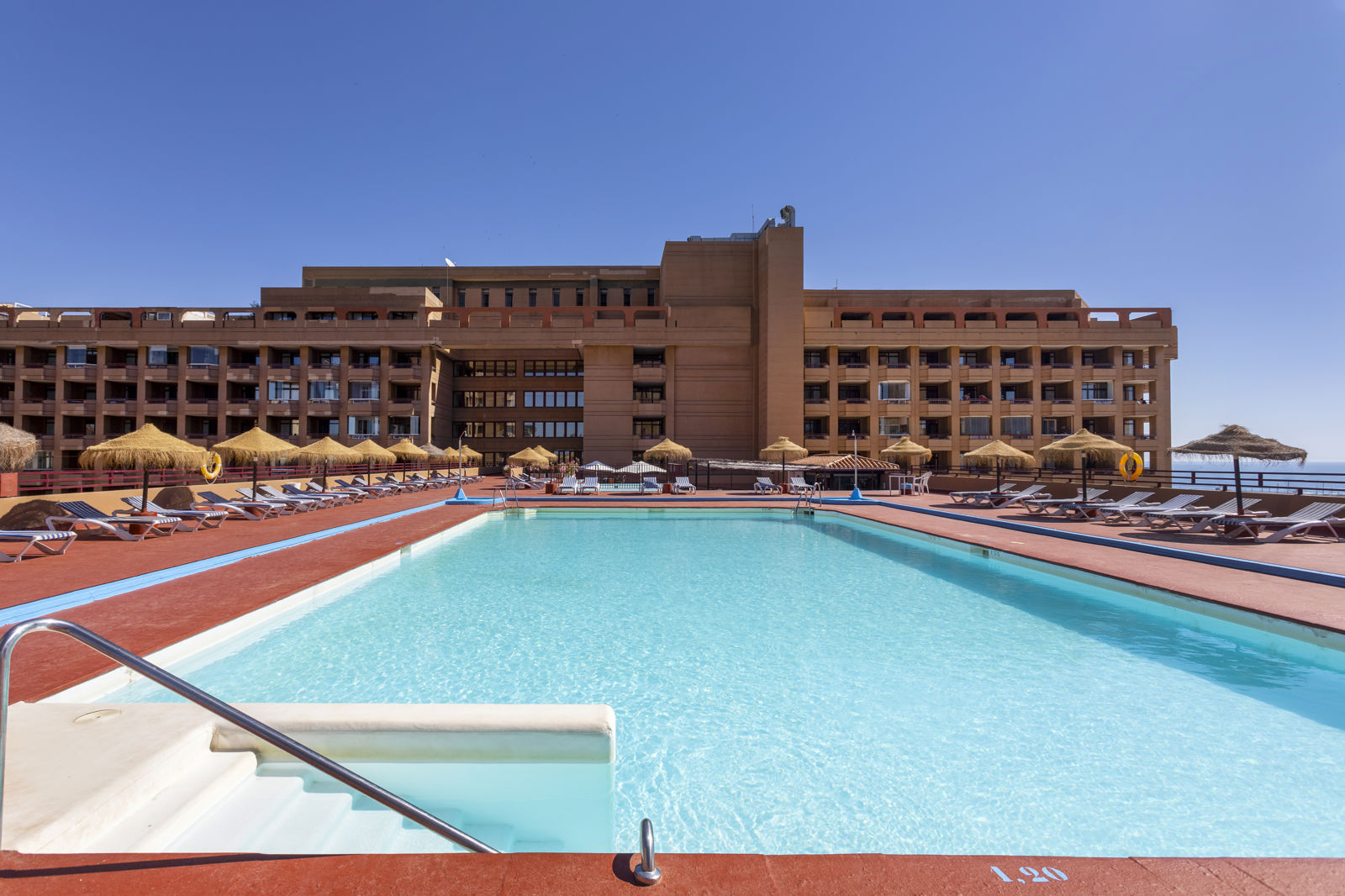 Las Palmeras billede 2