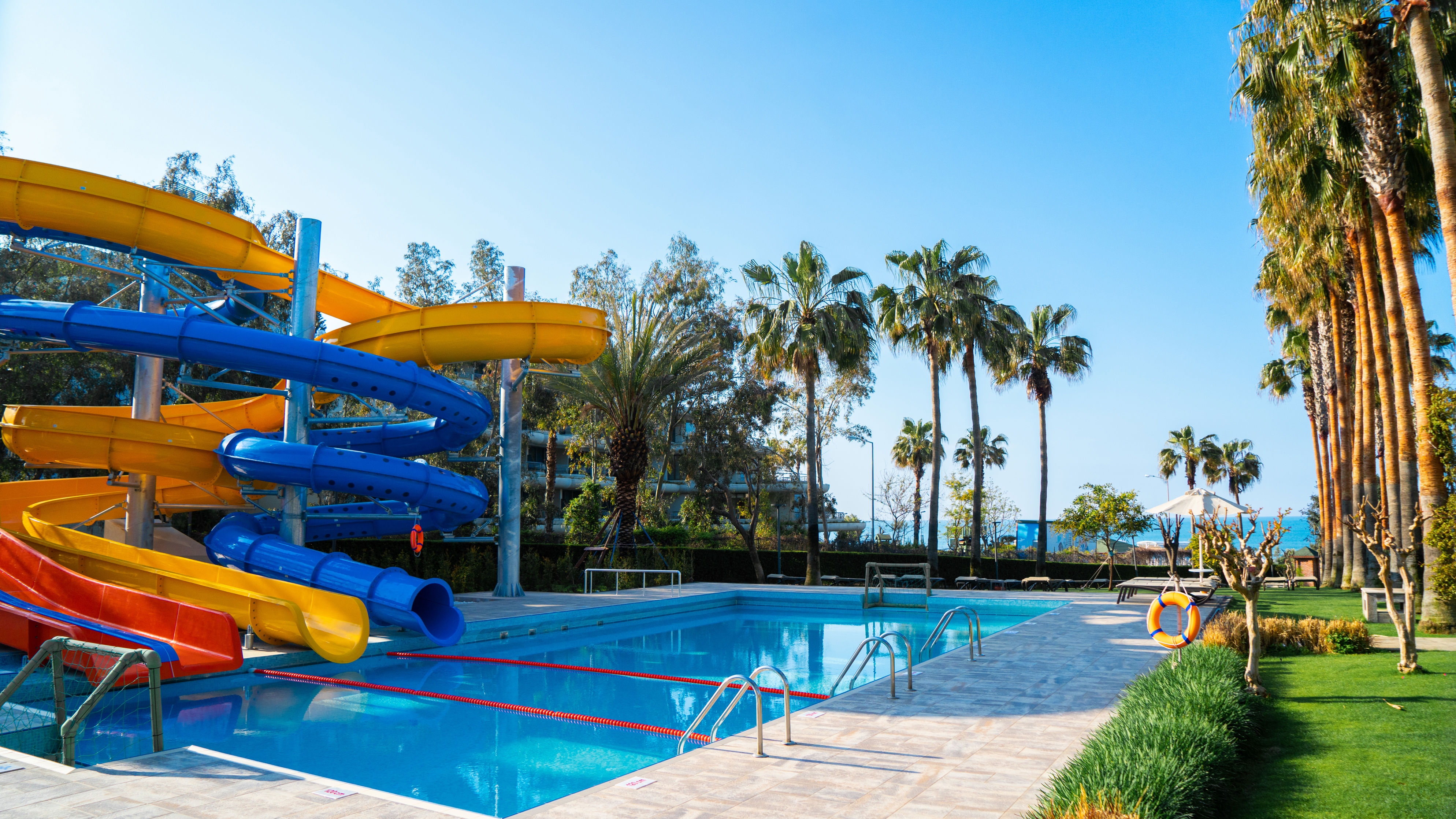 Barut Arum - billede 3