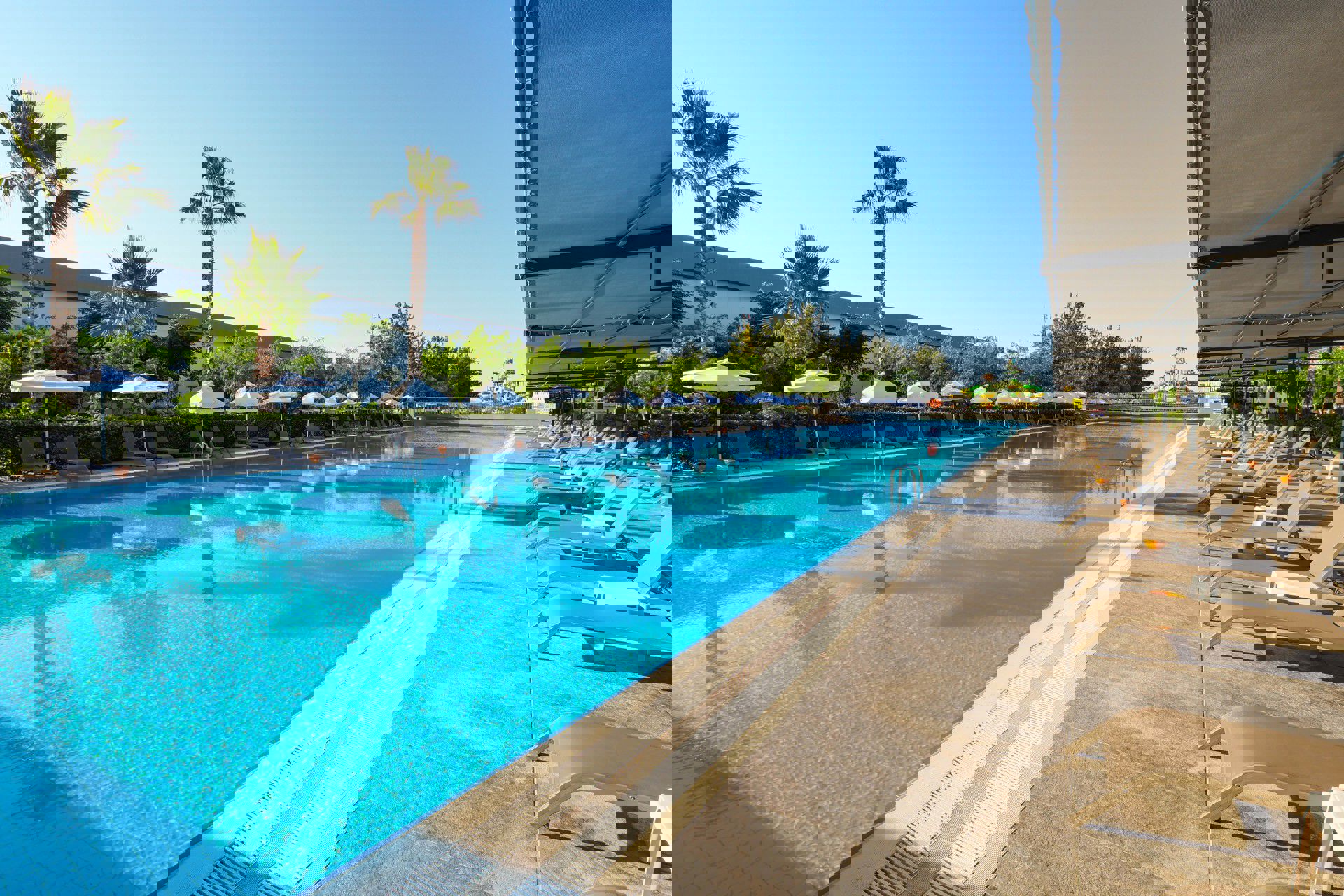 Crystal Centro Pearl Collection