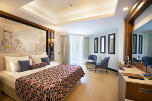 Woonvoorbeeld standaardkamer