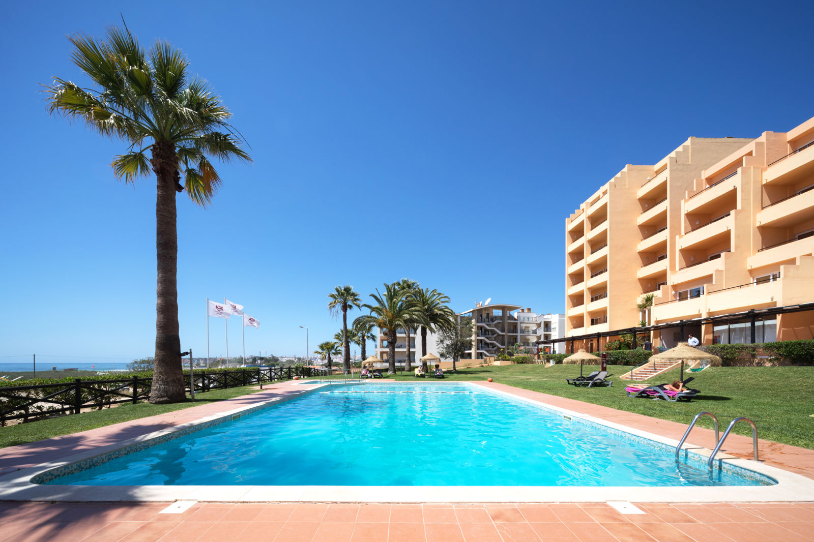 Dom Pedro Lagos slide 2