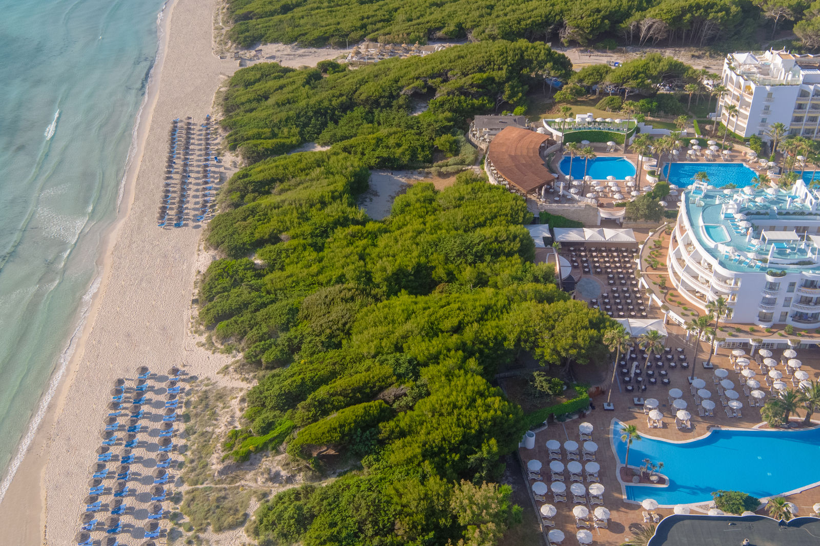 Iberostar Selection Albufera Playa billede 4