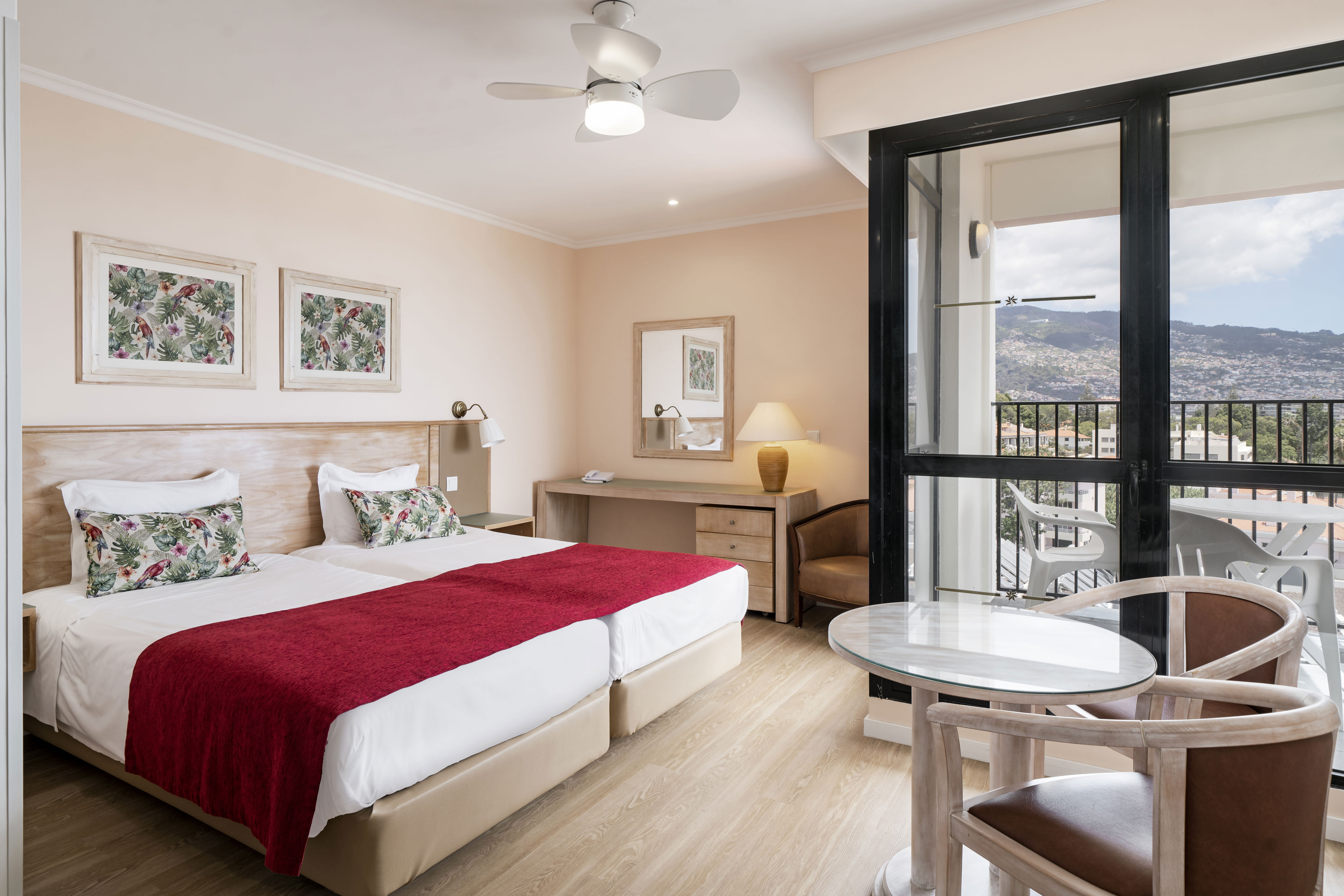 Dorisol Buganvilia