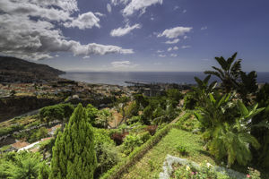 Quinta Funchal Palace Gardens