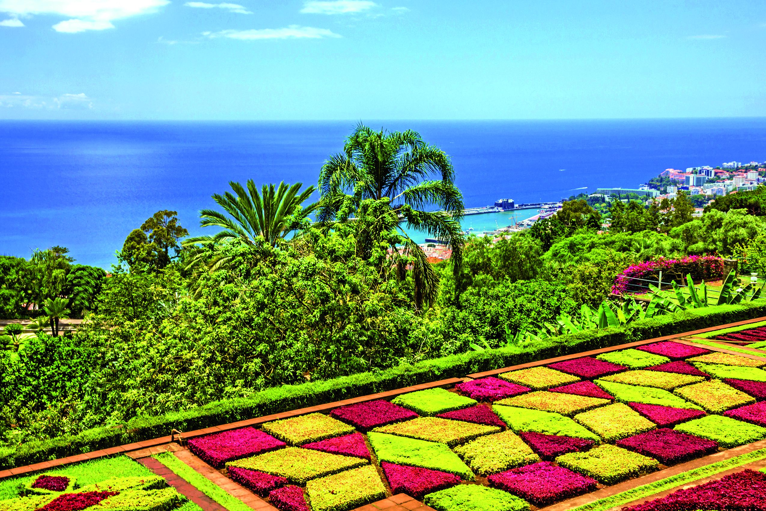 Fly & Drive Kleurrijk Madeira