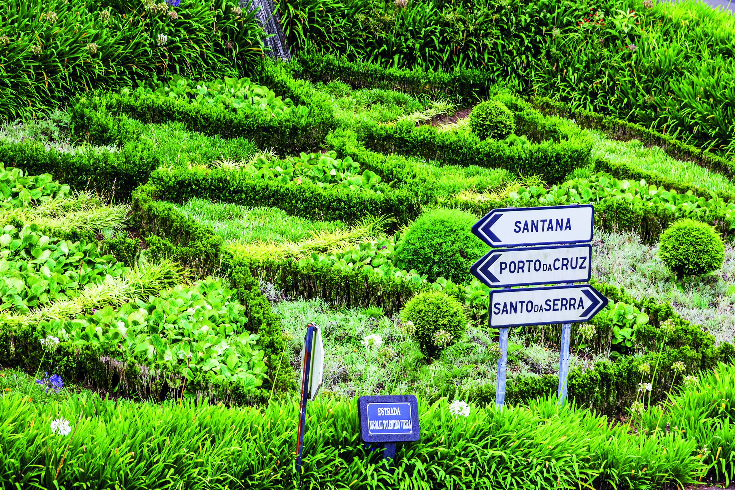 Fly & Drive Kleurrijk Madeira