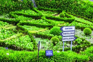 Fly & Drive Kleurrijk Madeira