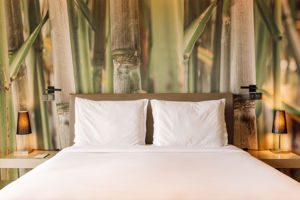 Fly & Go Saccharum Resort & Spa