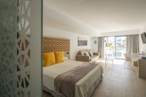 Woonvoorbeeld deluxe kamer of junior suite