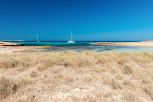 Excursiereis Ibiza