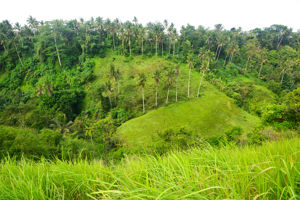 Combiné Ubud & Sanur Comfort