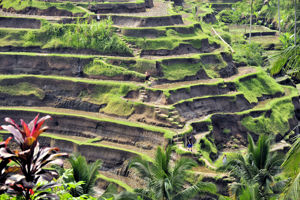 Combiné Ubud & Sanur Comfort