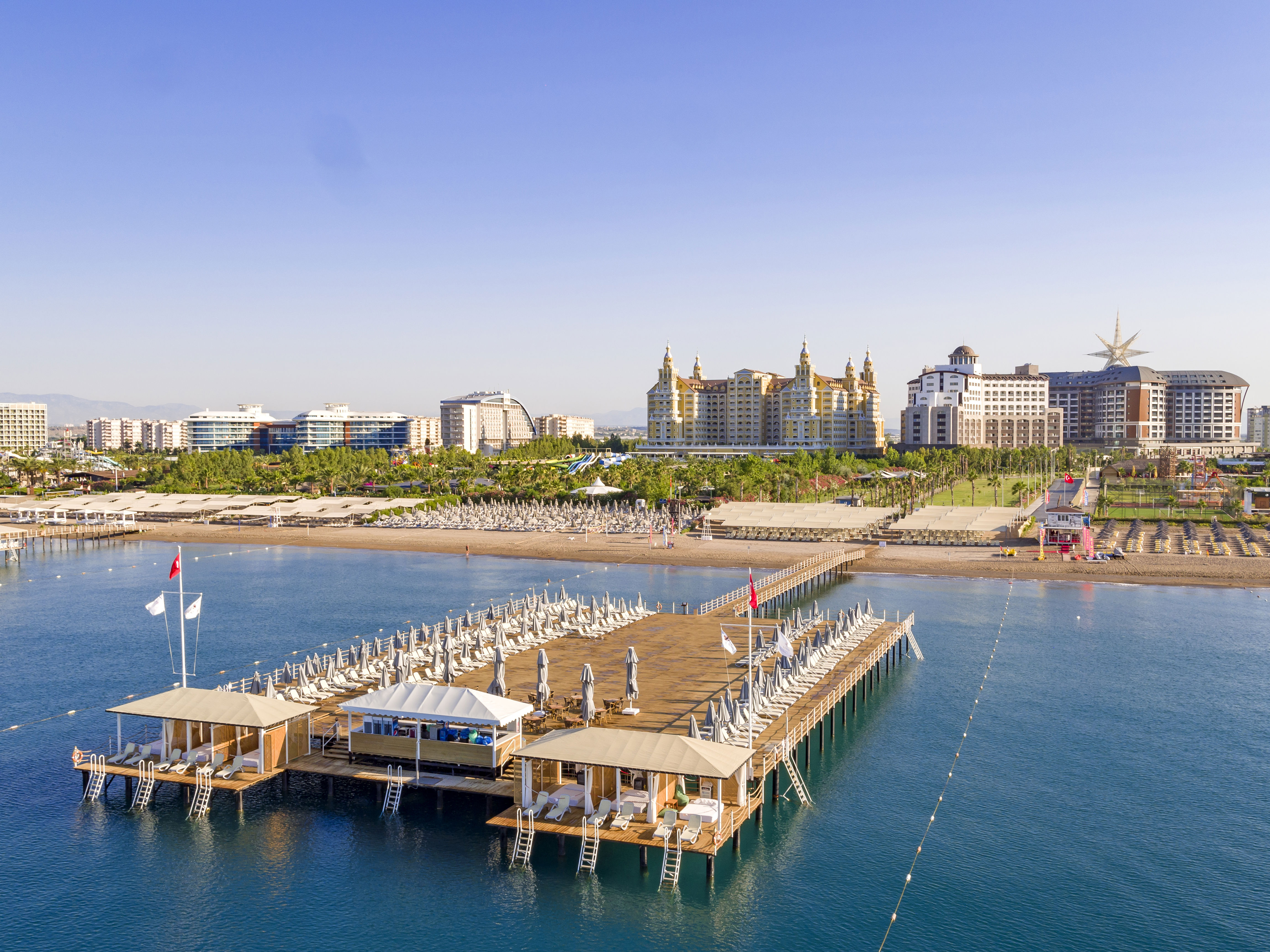 Royal Seginus - billede 2