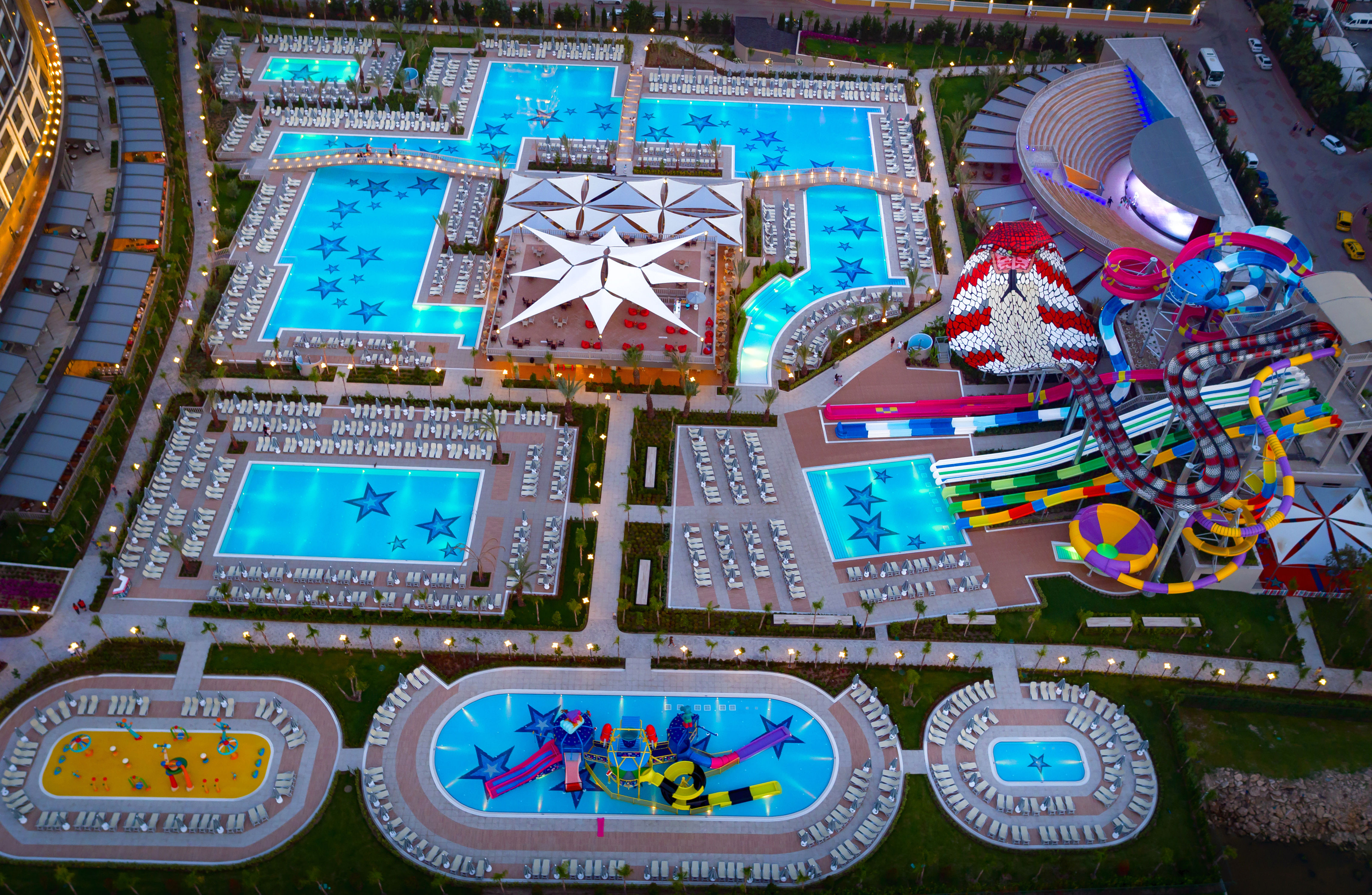 Royal Seginus - billede 3