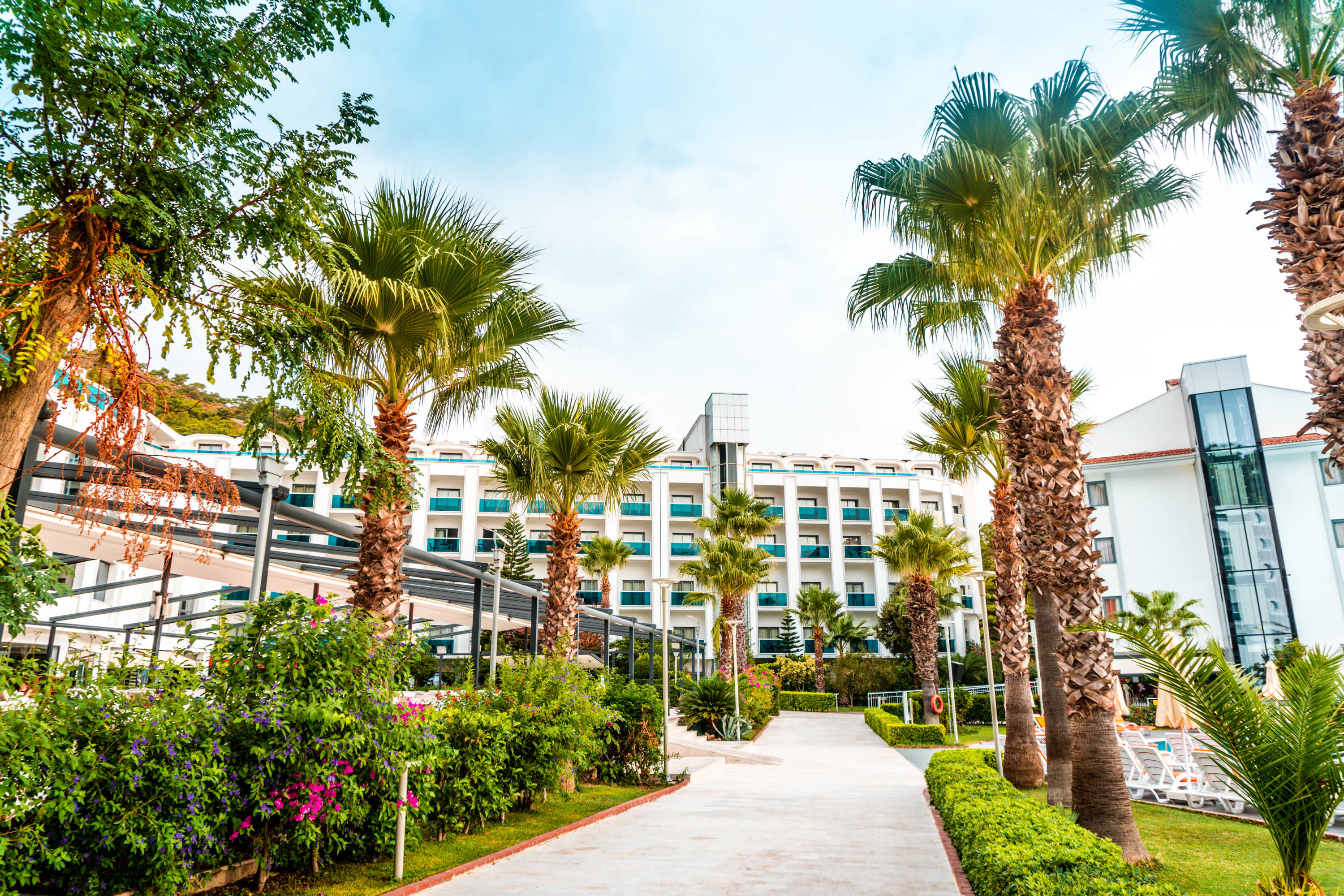 Green Nature Resort & Spa - billede 4