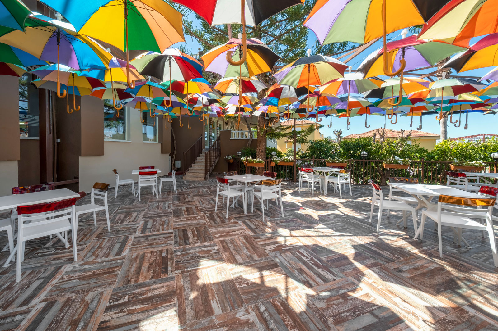 Club Paradiso billede 5