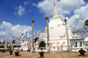 Groepsrondreis Ontdek Sri Lanka