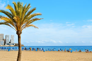 Palm Beach