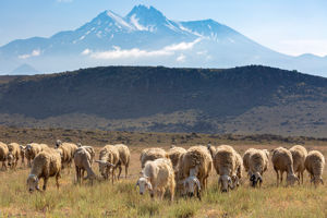 Rondreis Cappadocië & Kahraman Hotel