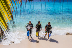 Bingo Bonaire 3*