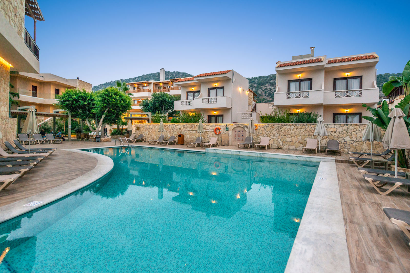 Cactus Beach - hovedbillede