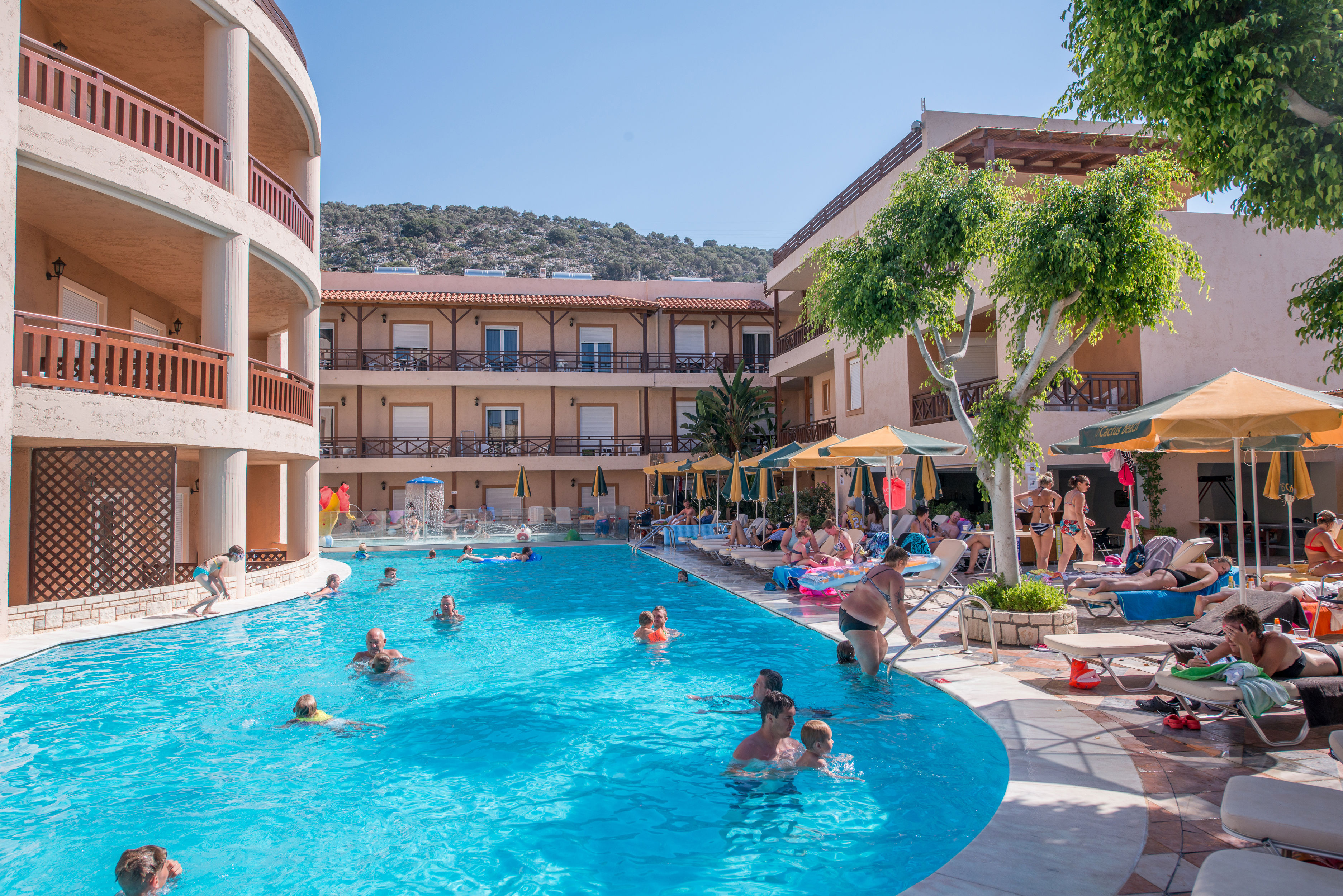 Cactus Beach - billede 3