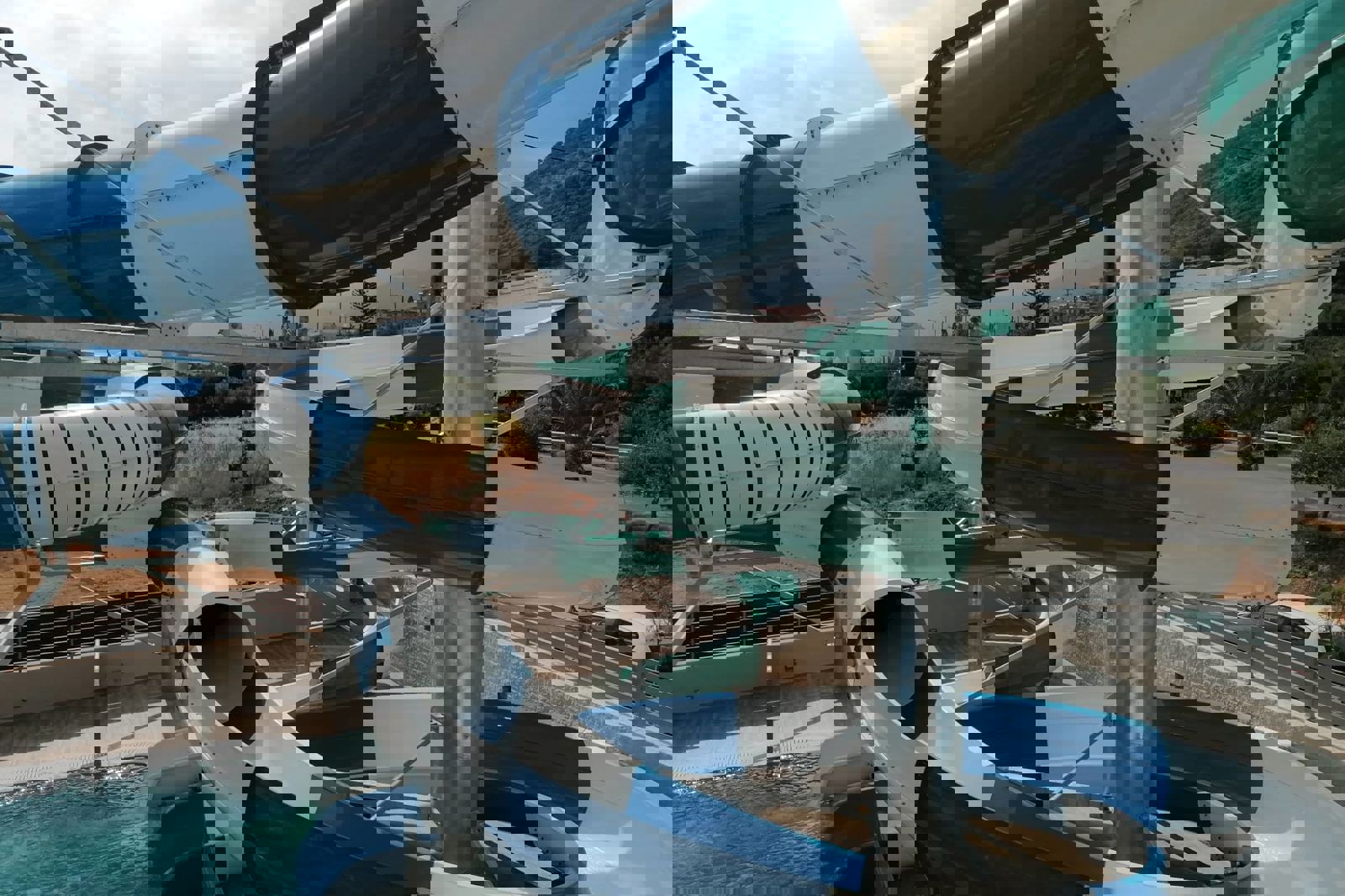 Cactus Beach billede 5