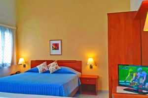 Woonvoorbeeld premium studio of 2-kamerappartement