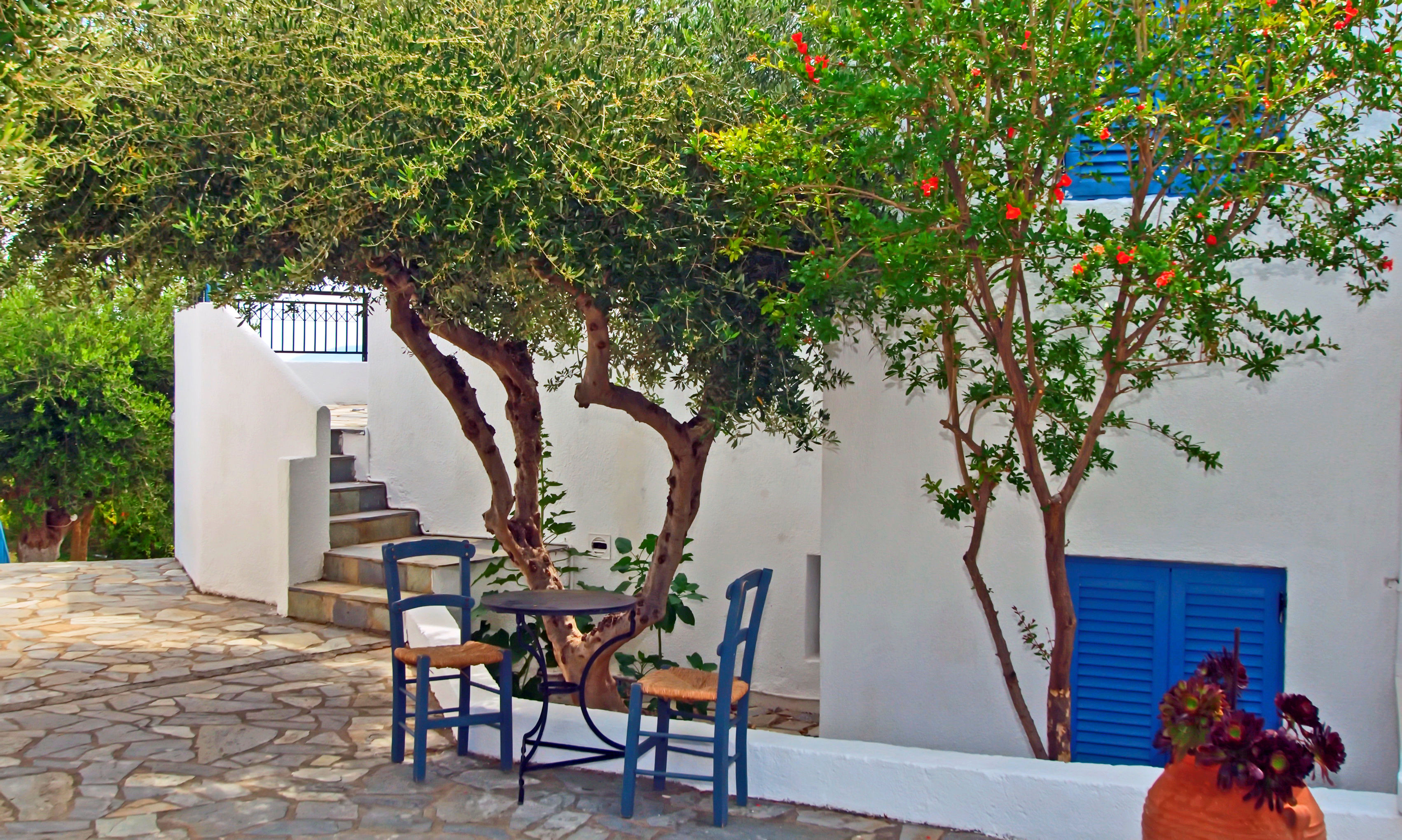 Palatia Village - billede 2