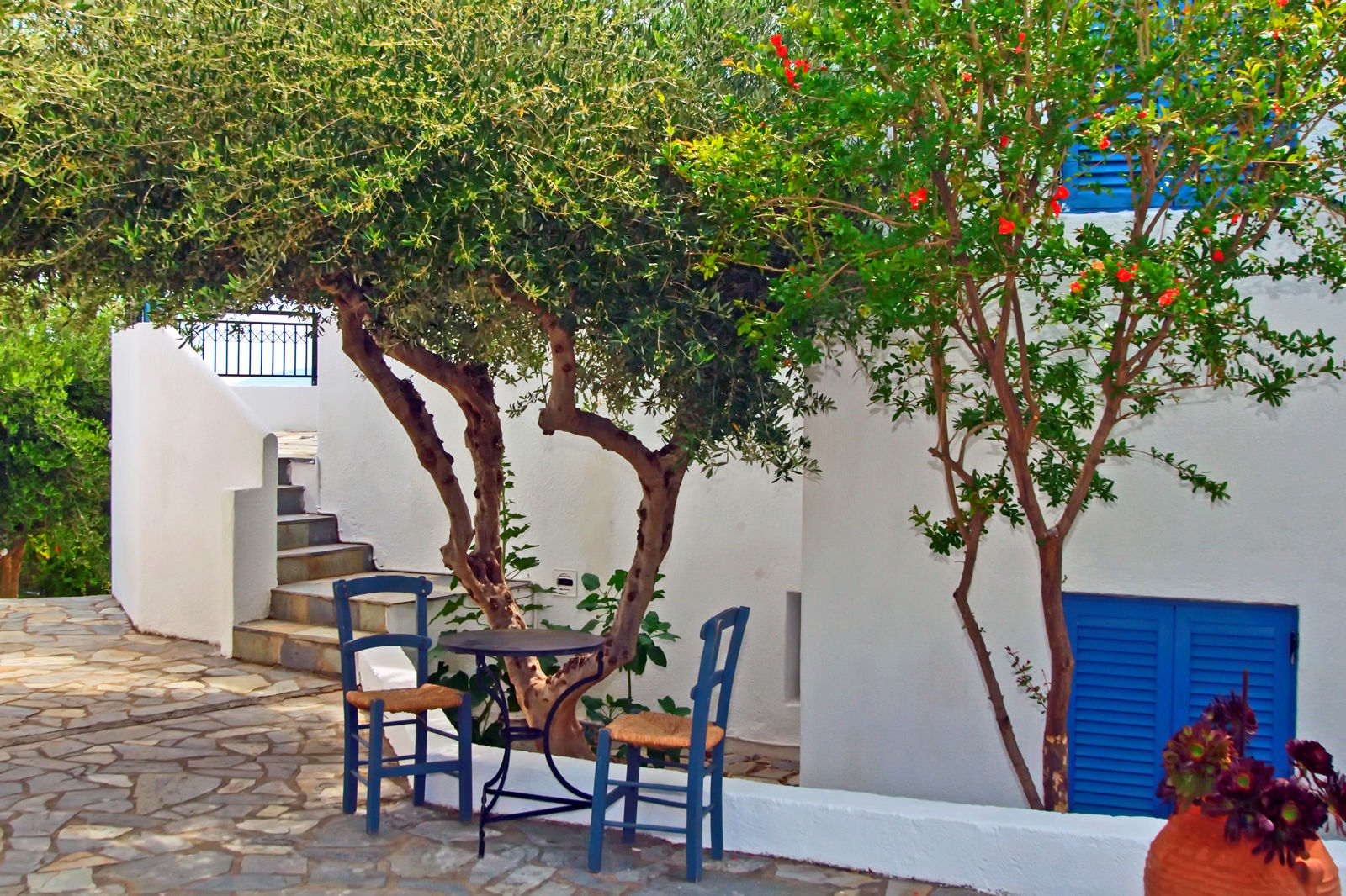 Palatia Village billede 2