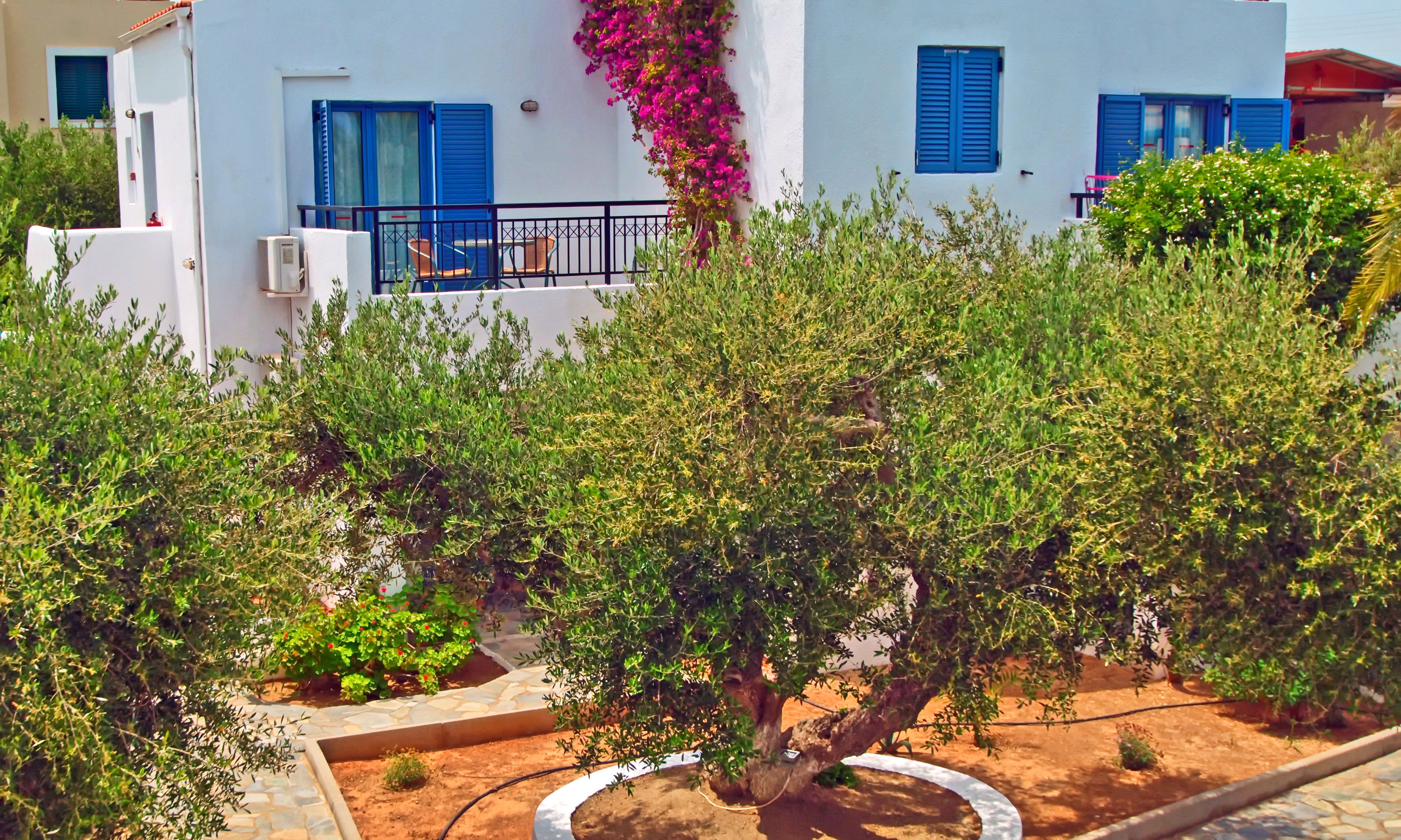 Palatia Village - billede 5