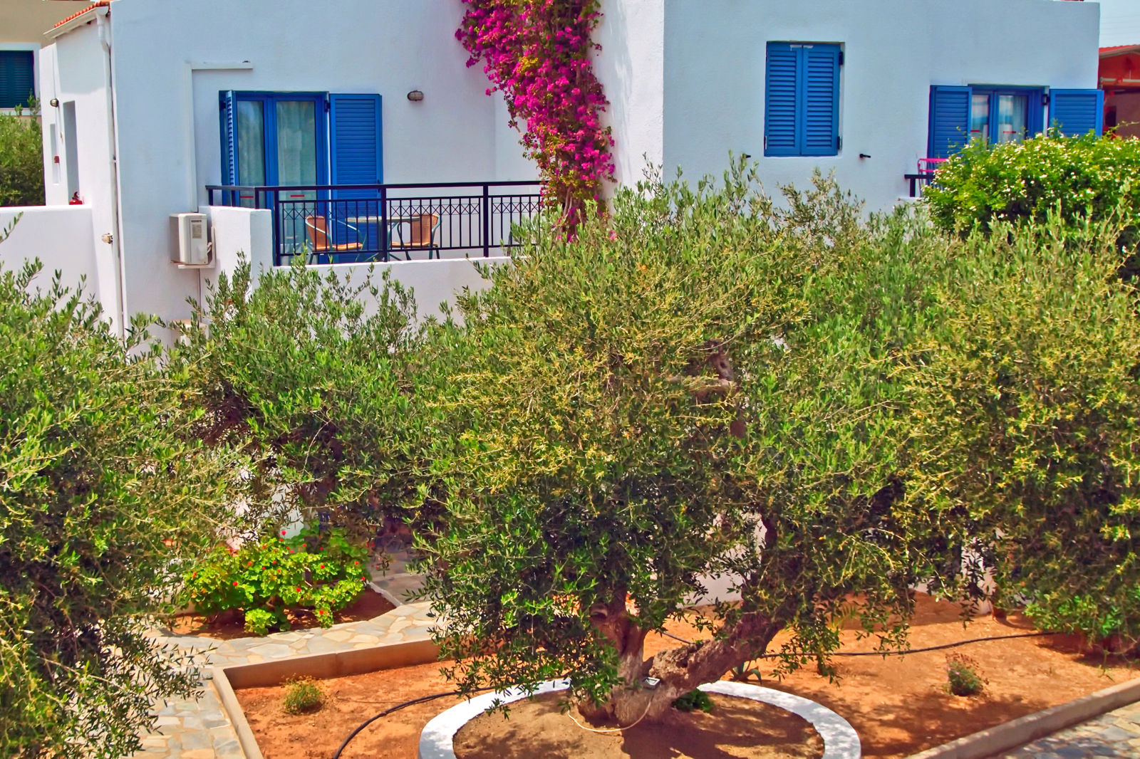 Palatia Village billede 5