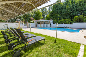 Calypso Cozy Hotel