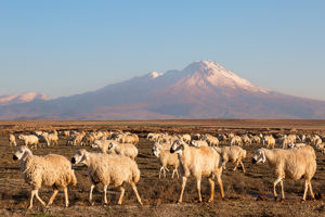 Rondreis Cappadocië & Terrace Elite