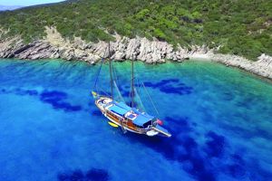 Blue Cruise & Selectum Colours Bodrum