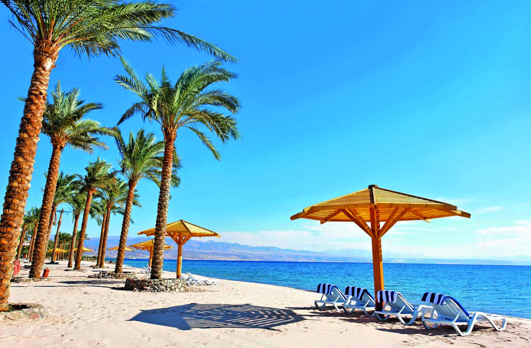 Bingo Egypte 4*
