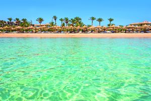 Bingo Egypte 5*