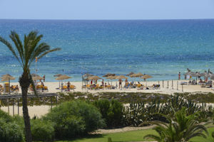 Vincci Marillia