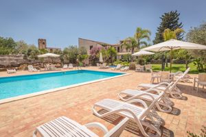 Fly & Go Case di Latomie