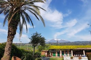 Fly & Go Etna Hotel