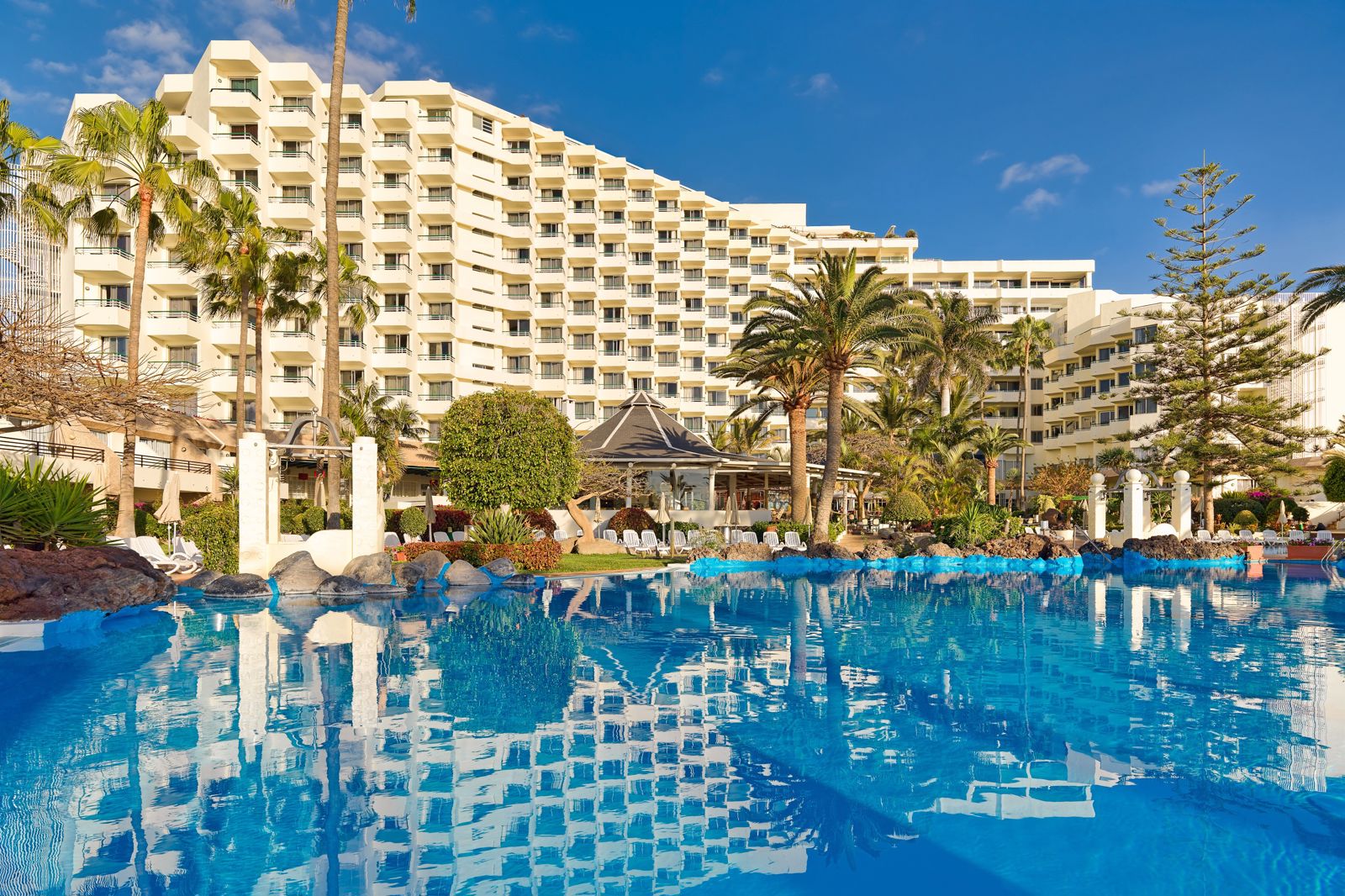 H10 Las Palmeras billede 2