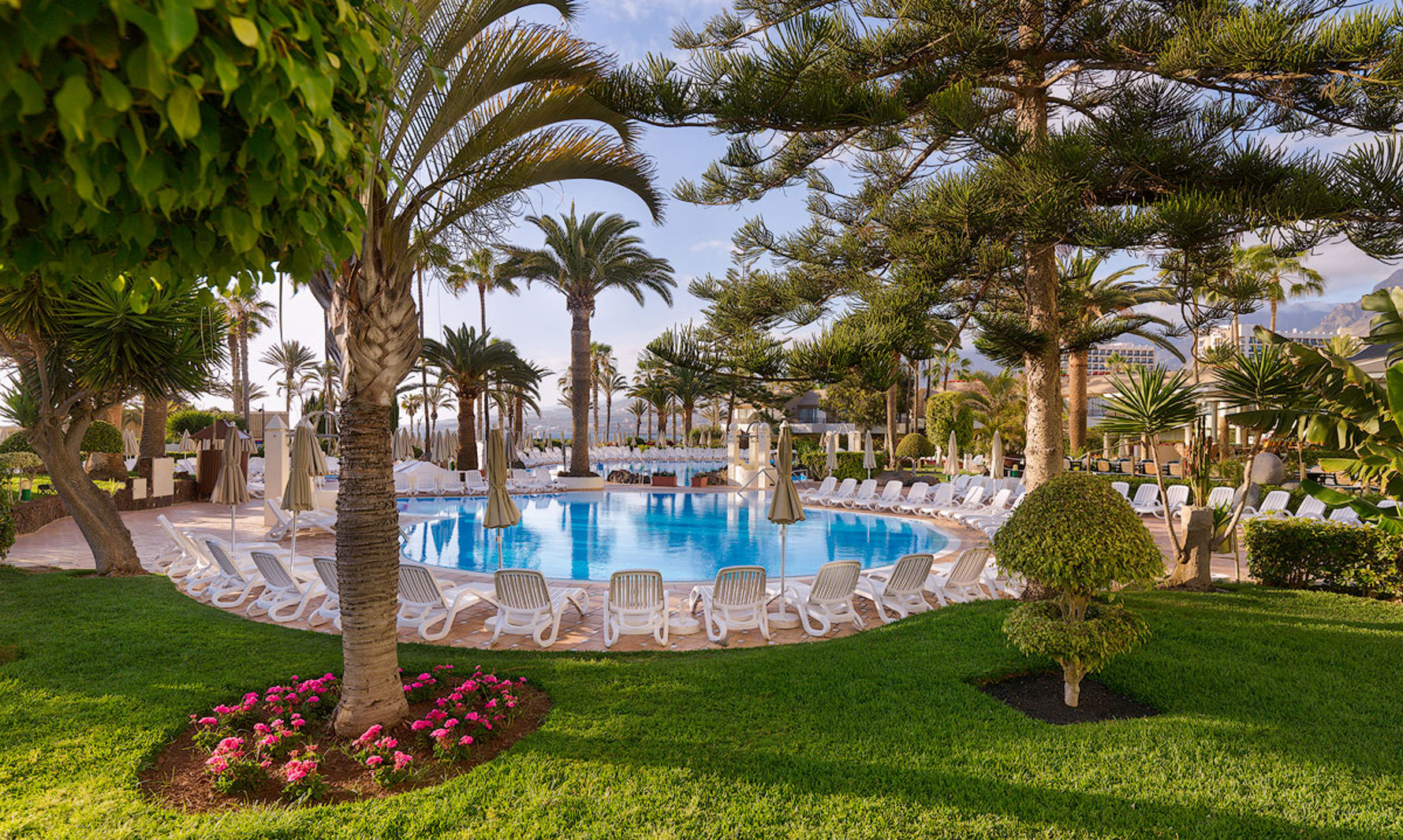 H10 Las Palmeras billede 3