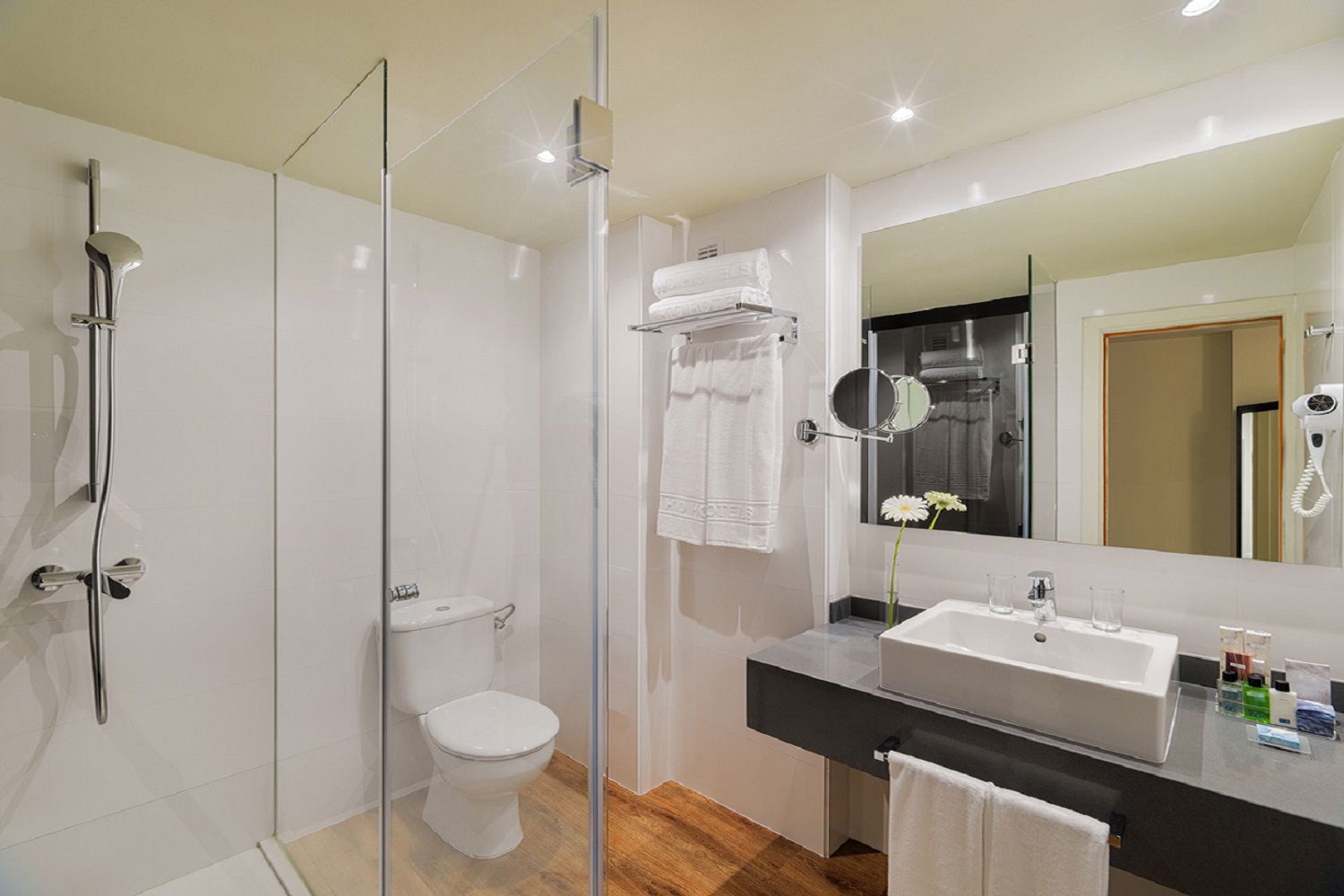 H10 Las Palmeras - billede 5