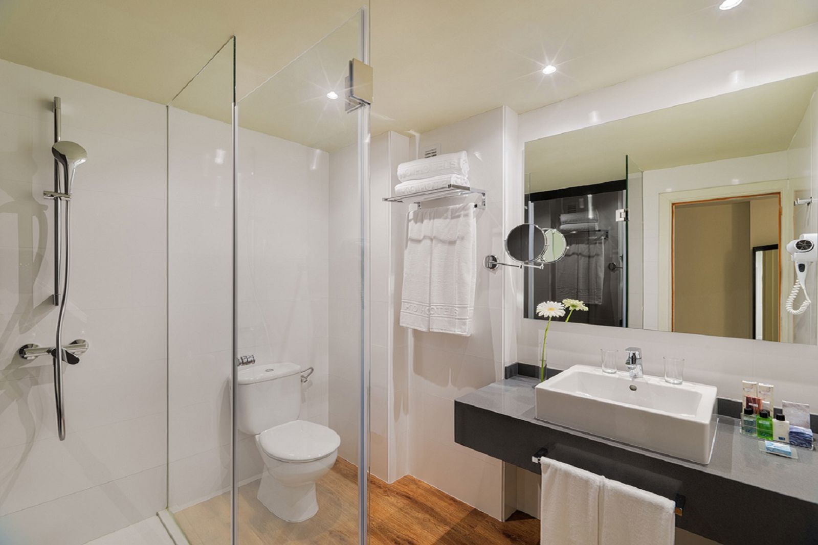 H10 Las Palmeras billede 5