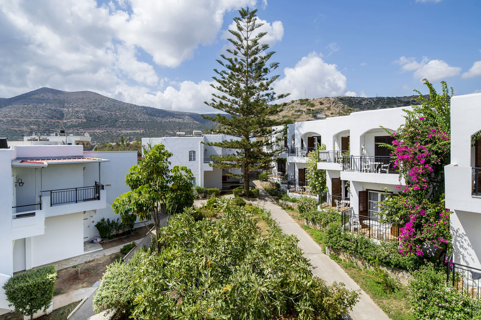 Horizon Beach billede 2