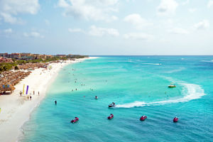 Startpakket Perle d'Or