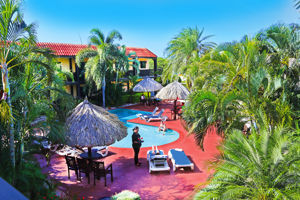 Startpakket Perle d'Or