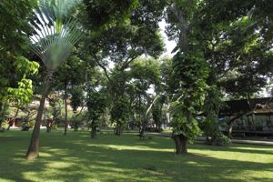 Startpakket Bali Traditioneel 3*