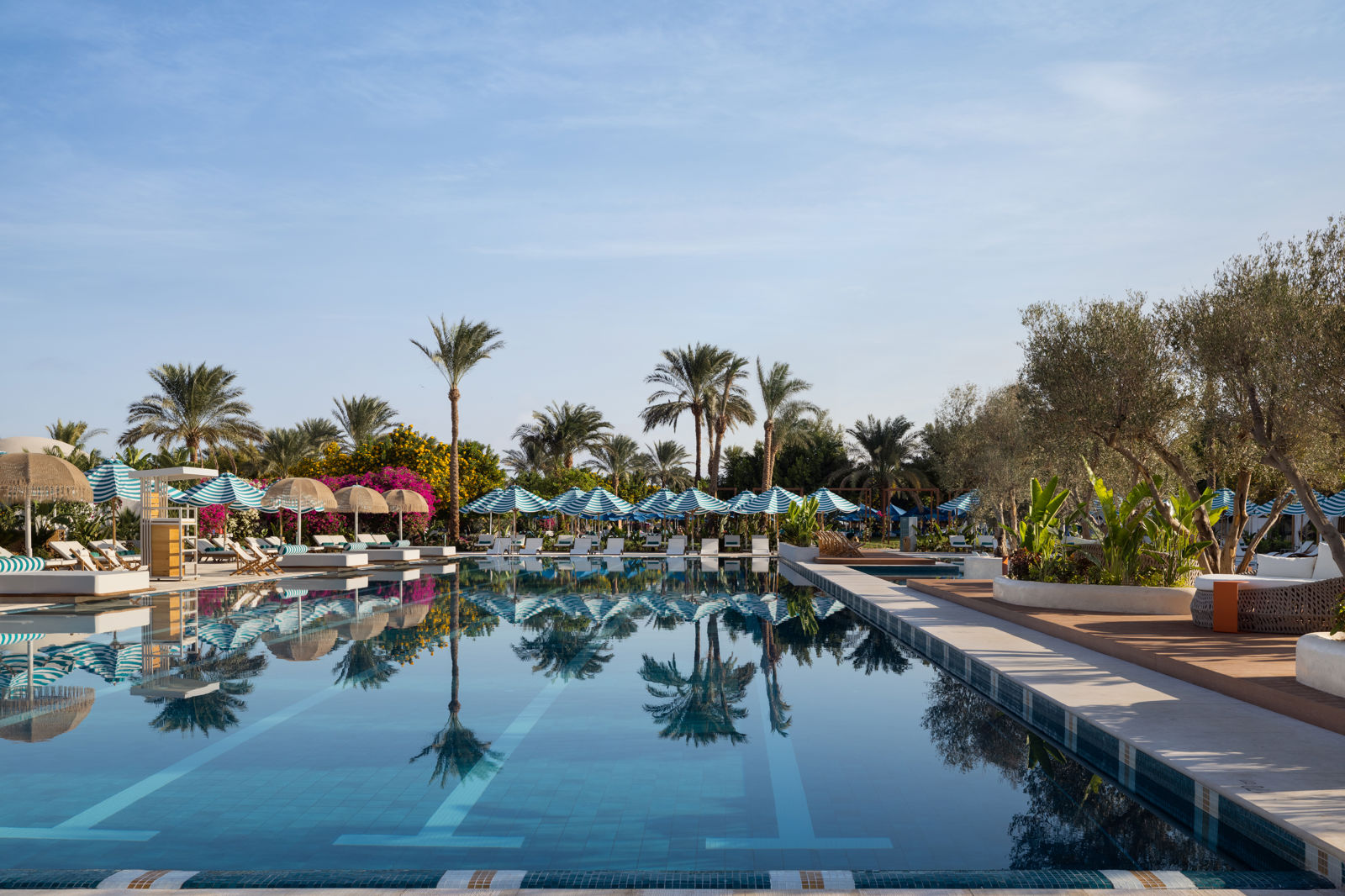 Desert Rose Resort billede 5