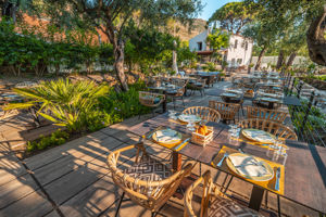 Garden restaurant